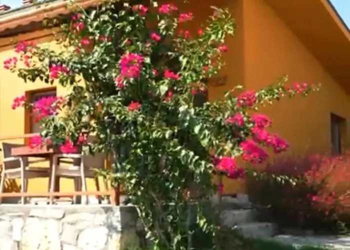 özlemköy çiftlik Seferihisar